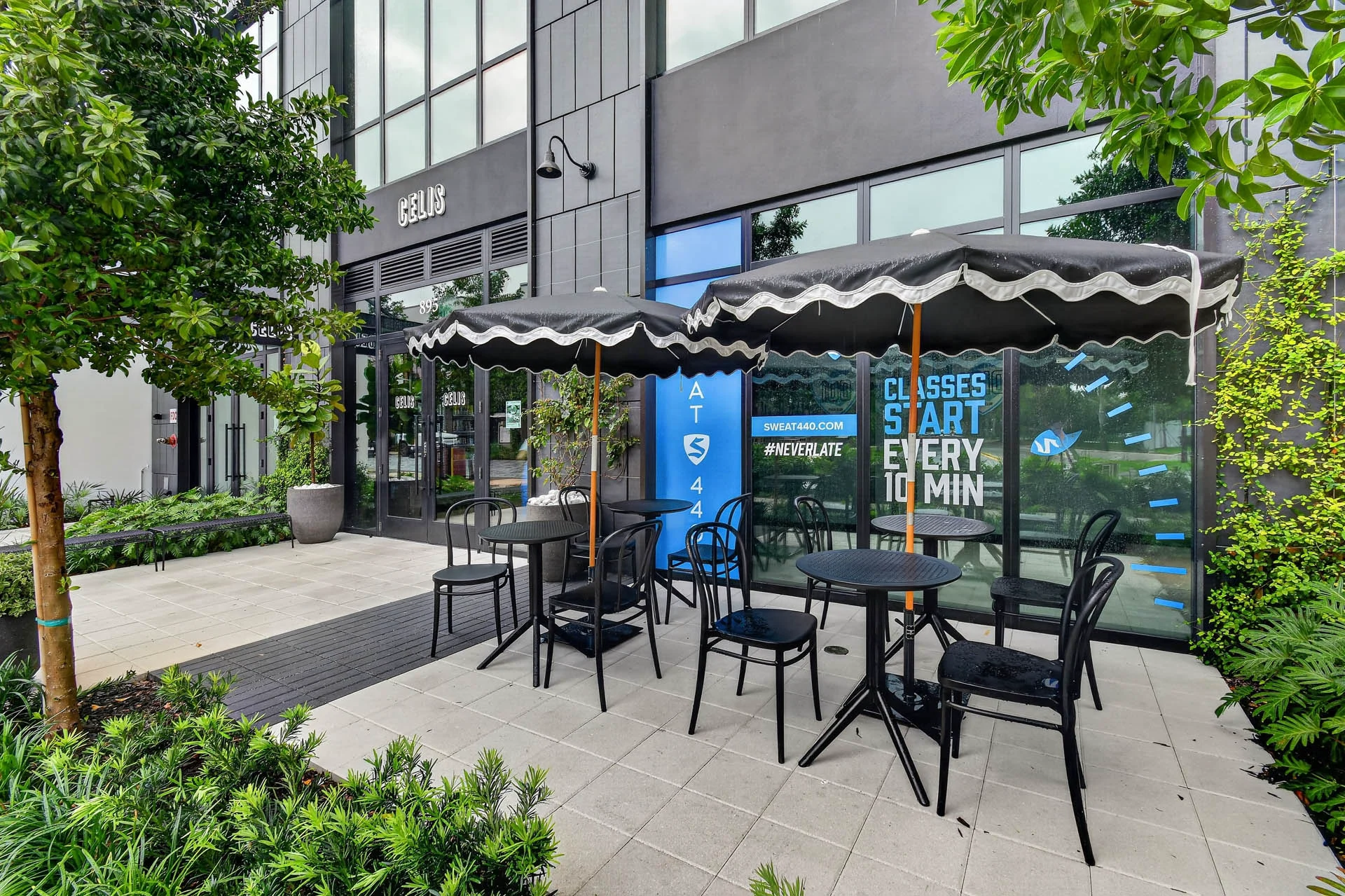 CelisJuiceBar(3)